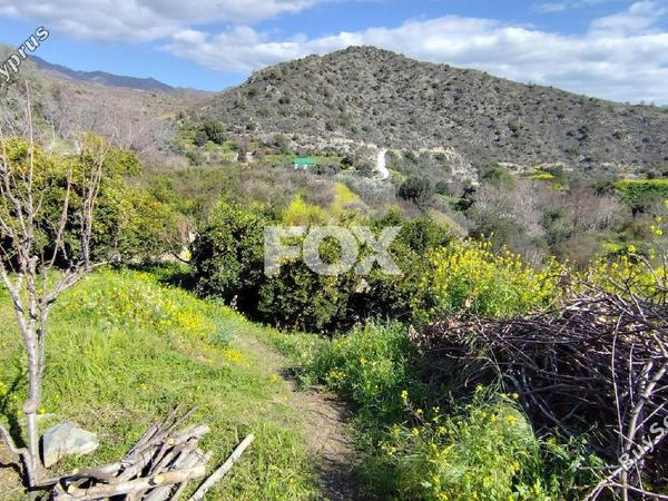 land for sale dierona limassol 7495197 image 9319939