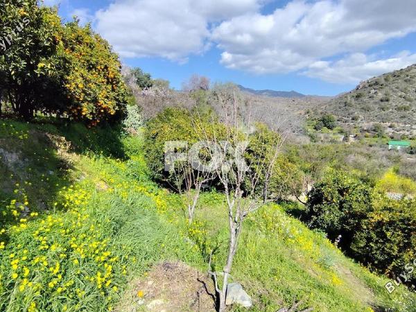 land for sale dierona limassol 7495197 image 9319941