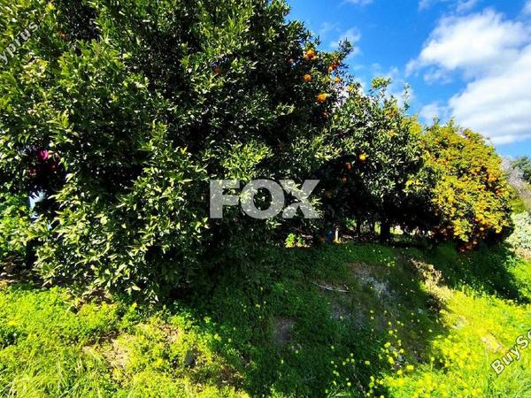 land for sale dierona limassol 7495197 image 9319946
