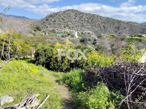 land for sale dierona limassol 7495197 image 9319947