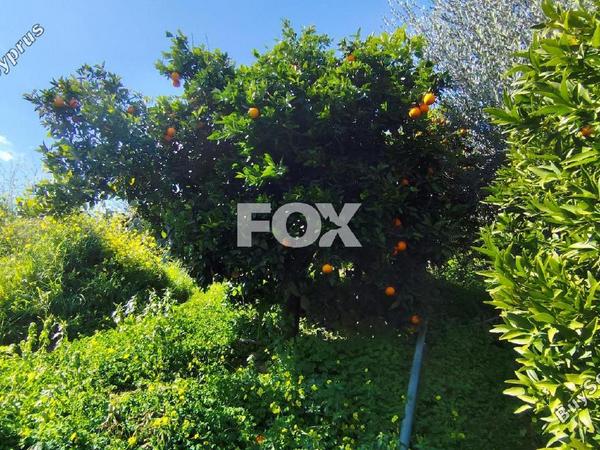 land for sale dierona limassol 7495197 image 9319948