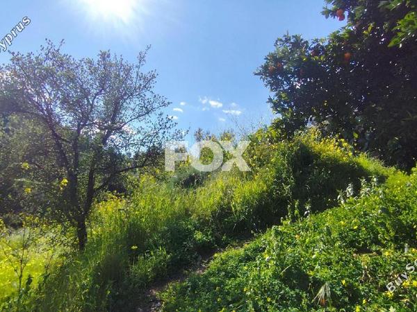 land for sale dierona limassol 7495197 image 9319950
