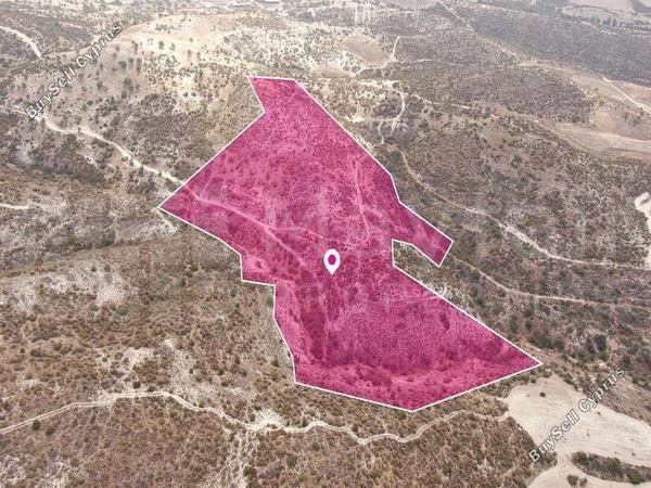 land for sale skarinou larnaca 7872197 image 13700655