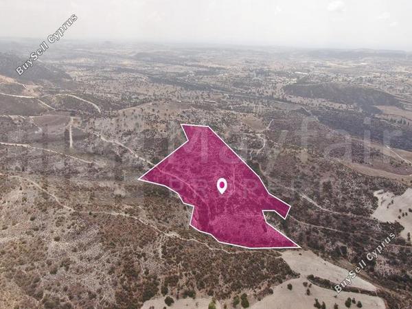 land for sale skarinou larnaca 7872197 image 13700659