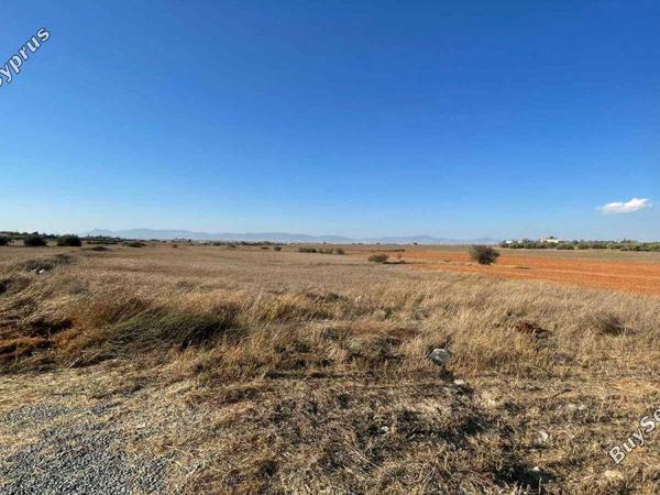 plot for sale agioi trimithias nicosia 7804197 image 16159806