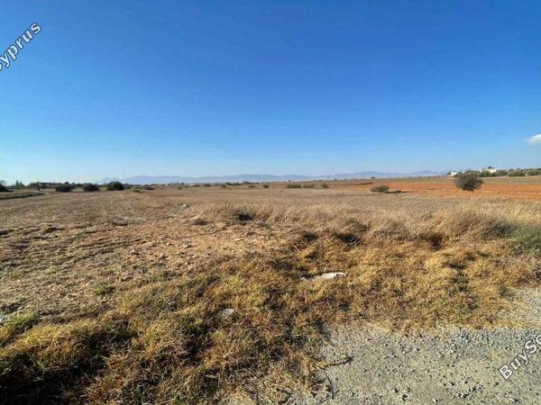 plot for sale agioi trimithias nicosia 7804197 image 16159809