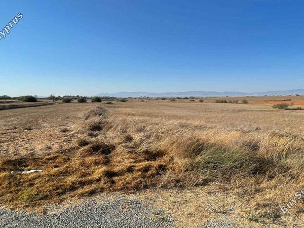 plot for sale agioi trimithias nicosia 7804197 image 16159814
