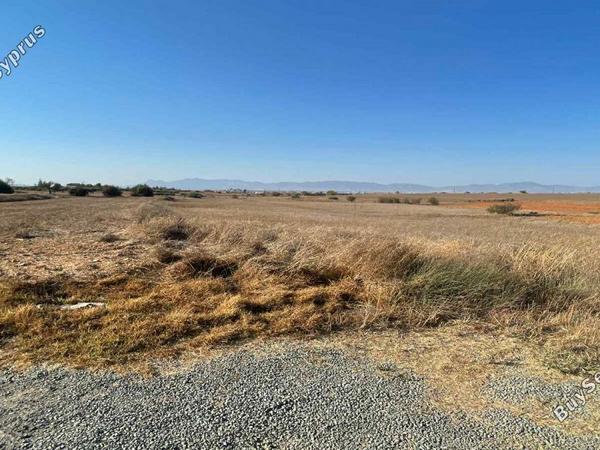 plot for sale agioi trimithias nicosia 7804197 image 16159821