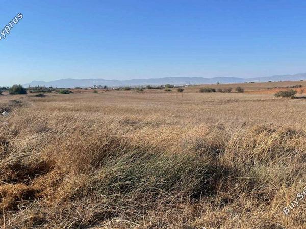 plot for sale agioi trimithias nicosia 7804197 image 16826156