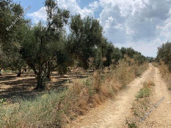 plot for sale ergates nicosia 1804197 image 16984872