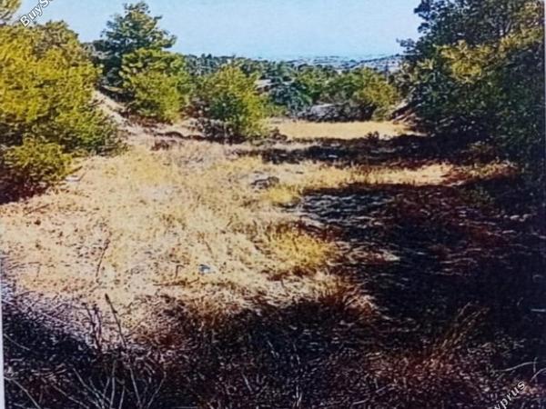 plot for sale kapedes nicosia 8437197 image 16168428