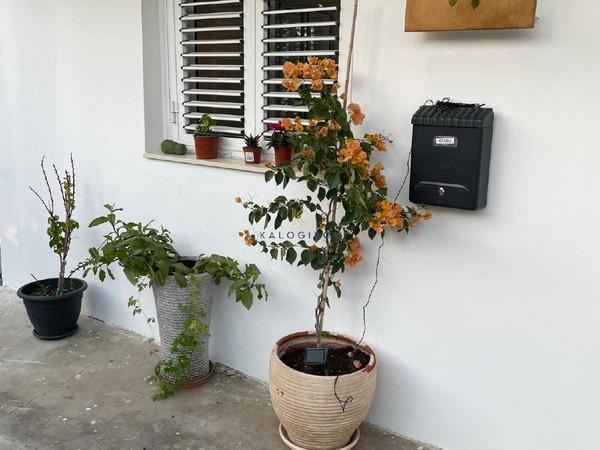 1 bedroom bungalow for sale kiti larnaca 1624297 image 5707373