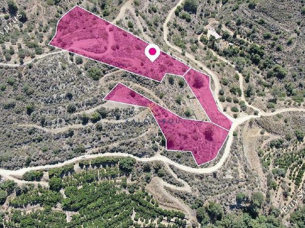 land for sale dierona limassol 1651297 image 5703332