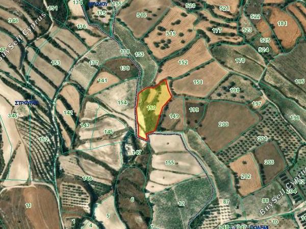 land for sale drynia paphos 8665297 image 16563278
