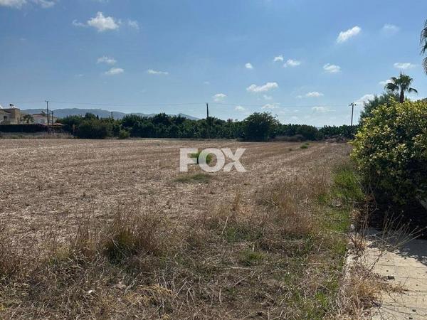 land for sale peyia paphos 1270297 image 10033065
