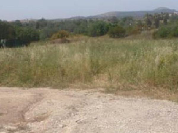 land for sale prodromi paphos 8395297 image 14818310