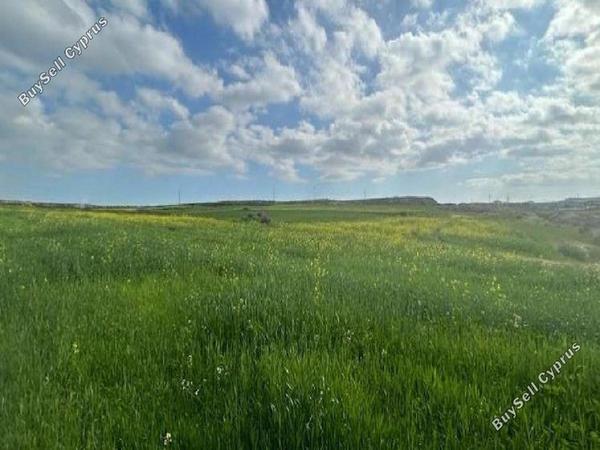 plot for sale geri nicosia 8827297 image 16975452