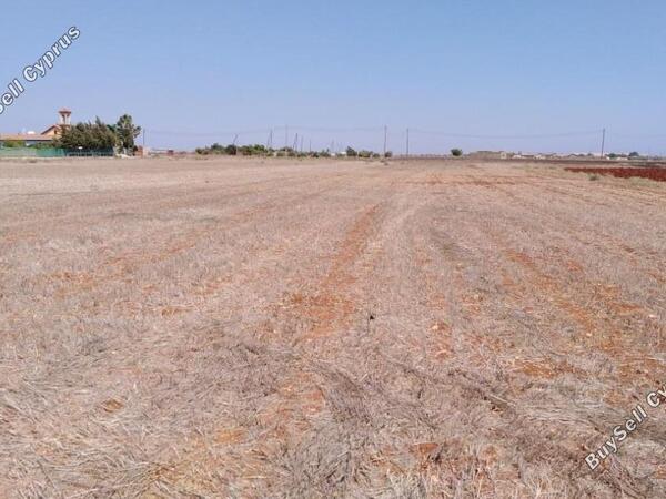 land for sale avgorou famagusta 829397 image 3537573