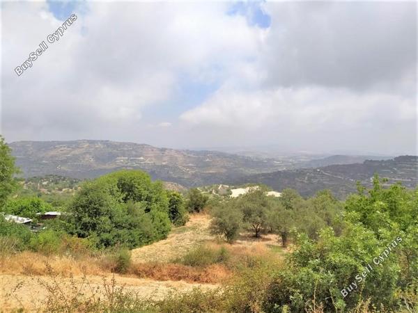 land for sale koili paphos 7756397 image 15994744