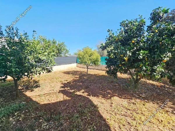 4 bedroom detached house for sale drousia paphos 7554497 image 9546933