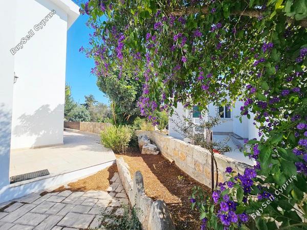 4 bedroom detached house for sale drousia paphos 7554497 image 9546942