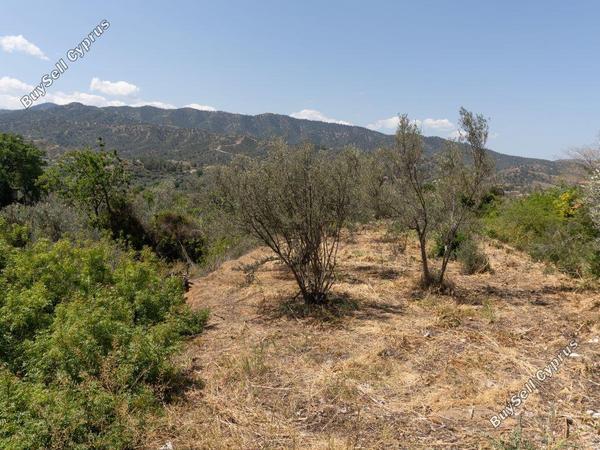 land for sale evrychou nicosia 1158497 image 15602871