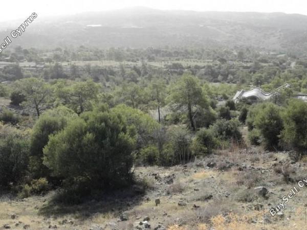 land for sale foinikaria limassol 7739497 image 16242389