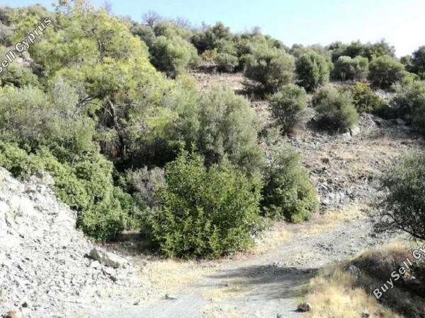 land for sale foinikaria limassol 7739497 image 16242394