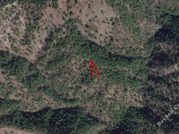 land for sale pigenia nicosia 829497 image 12843163