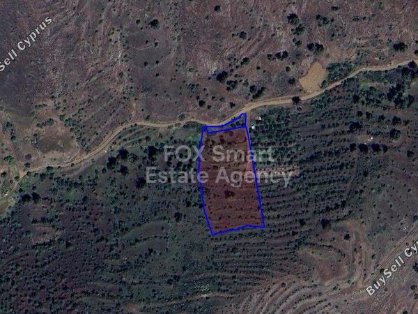 land for sale agios epifanios oreinis nicosia 1446597 image 5195175