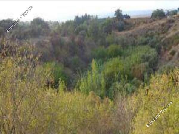 land for sale argaka paphos 1096697 image 16009588