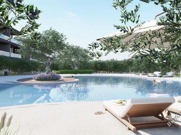 2 bedroom apartment for sale anarita paphos 8345797 image 14736993