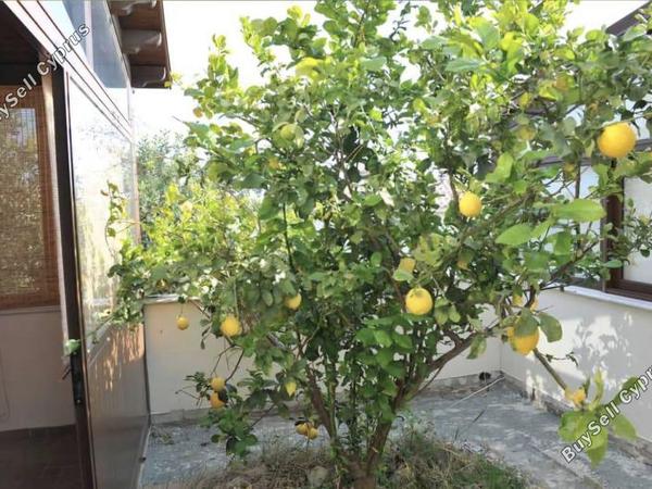 4 bedroom detached house for sale mazotos larnaca 1781797 image 13142421