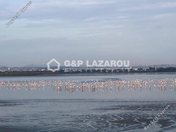 5 bedroom detached house for rent larnaca municipality larnaca 1609897 image 5483629