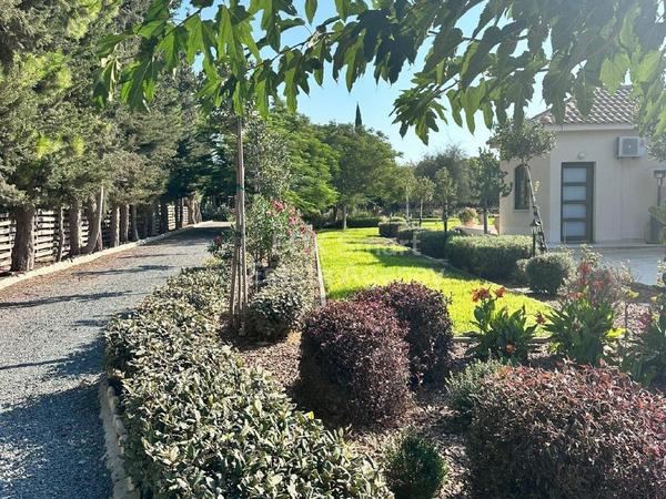 7 bedroom detached house for sale kiti larnaca 1938897 image 9259031
