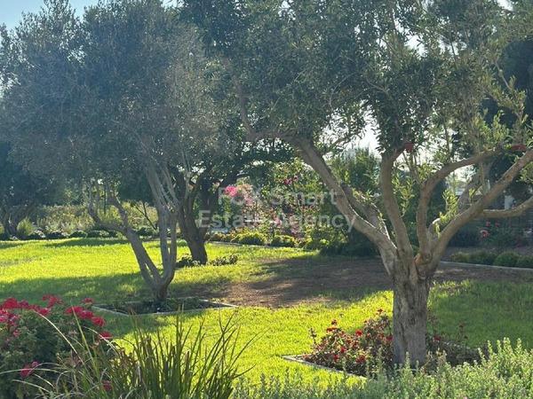 7 bedroom detached house for sale kiti larnaca 1938897 image 9259033