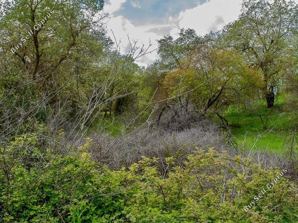 land for sale drimou paphos 8664897 image 17009139