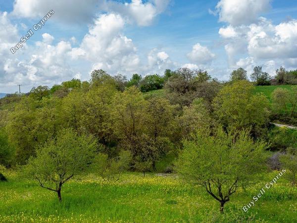 land for sale drimou paphos 8664897 image 17009141