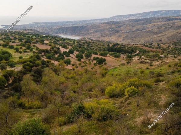 land for sale koili paphos 8395897 image 16001861