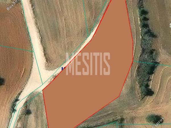 land for sale malounta nicosia 8291897 image 14096186