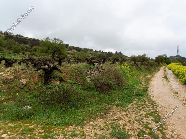 land for sale pachna limassol 8433897 image 15594714