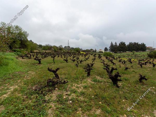 land for sale pachna limassol 8433897 image 15594715