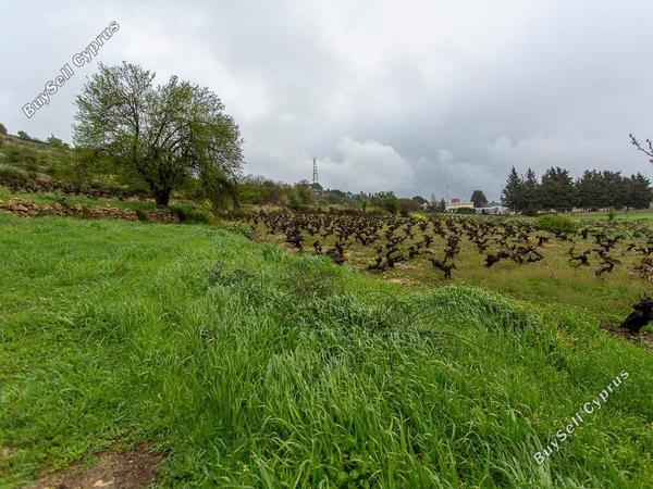 land for sale pachna limassol 8433897 image 15594716