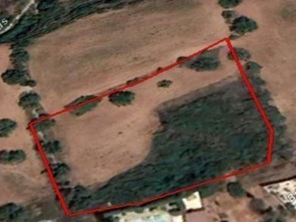 plot for sale peyia paphos 1803897 image 6124907