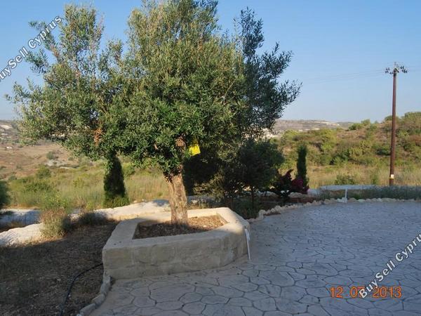 5 bedroom detached house for sale armou paphos 7739997 image 12581931