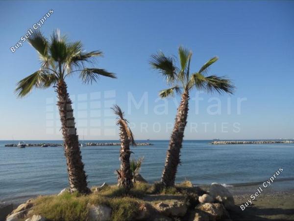 studio hotel for sale oroklini larnaca 7872997 image 11388473