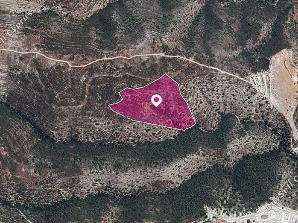 land for sale agios georgios silikou limassol 1650008 image 5663384
