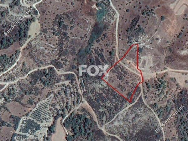 land for sale kinousa paphos 1160008 image 5534809