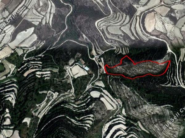 land for sale koili paphos 828008 image 15177693