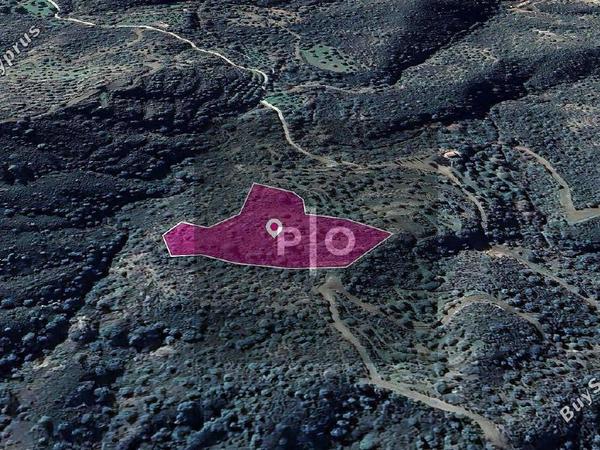 land for sale vavla larnaca 8275008 image 15156836